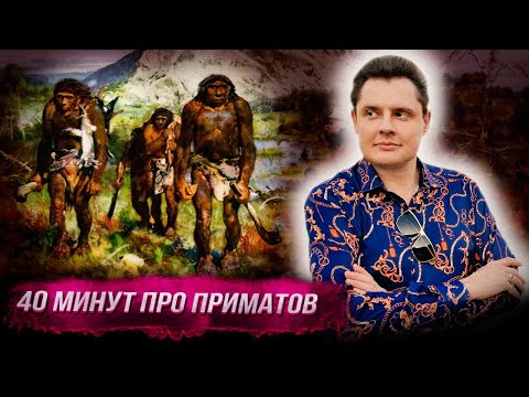 Видео: Понасенков 40 минут описывает разных увиденных приматов