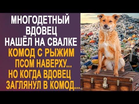 Видео: Вдовец нашёл на свалке комод с рыжим псом наверху. Но когда вдовец заглянул внутрь комода...