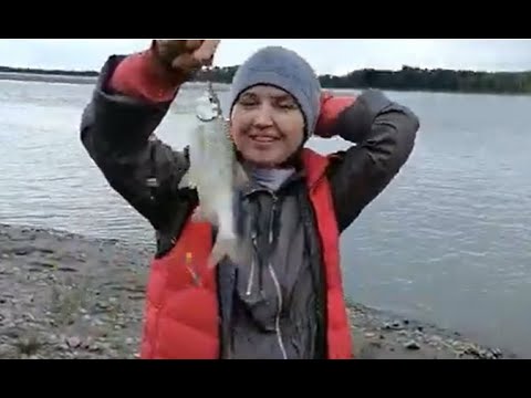 Видео: Рыбалка на Оби. Часть 1. На одном крючке сразу поймались 2 рыбы, вот это клев!