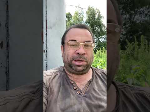 Видео: Со свиньями завязываем. Ферму ставим на паузу 