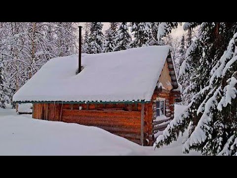 Видео: Выезд до таёжной избы на мотособаке!  Все завалило снегом! Вечер в избушке и вкусный ужин!