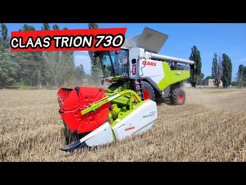 Видео: Жнива 2023🔥 Комбайн CLAAS TRION 730 на збиранні пшениці круче LEXION😳