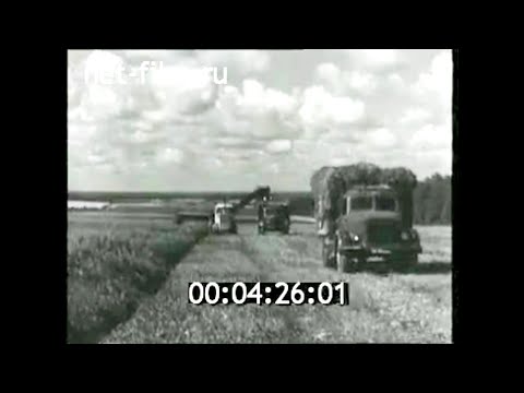 Видео: 1970г. совхоз Коммунарка Московская обл