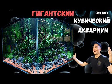 Видео: ГИГАНТСКИЙ КУБИЧЕСКИЙ АКВАРИУМ | GIANT CUBIC AQUARIUM | TUTORIAL