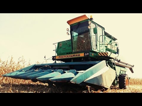 Видео: Уборка кукурузы комбайном ДОН-1500Б с жаткой КМС-8