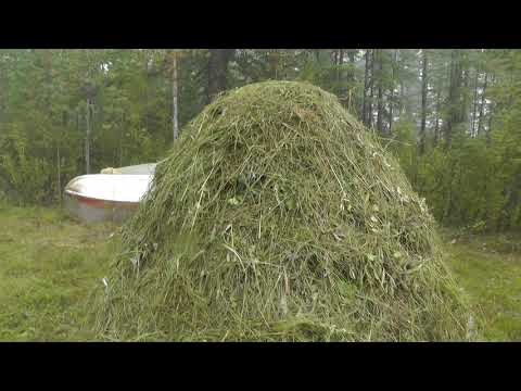 Видео: Выезд на выходные на базу  Открытие охоты 2020