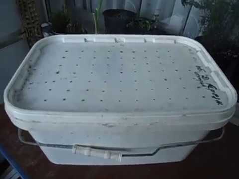 Видео: Дендробена. Обзор ящиков для разведения червей