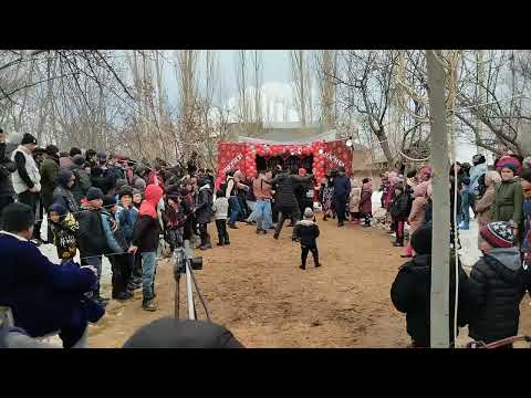 Видео: туй Чиргатол