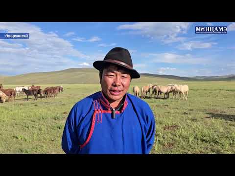 Видео: ЭДЭЛГЭЭНД СУРГАХ ЭЗЭН ТЭМДЭГ   ТАМГА нэвтрүүлэг