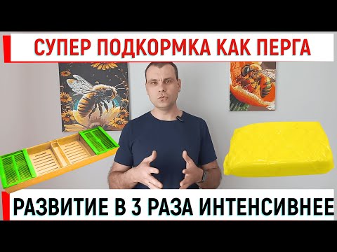 Видео: Супер подкормка - аналог перги. В 3 раза больше расплода!