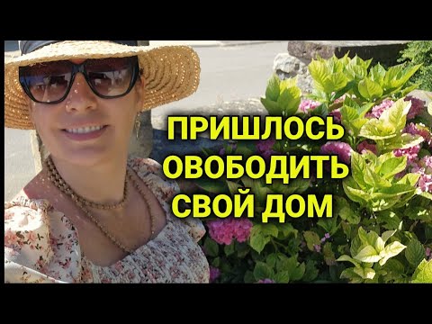 Видео: сбежали из дома| ночёвка на  сеновале| страхование недвижимости во Франции