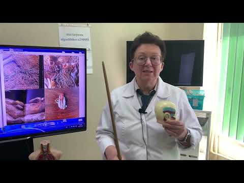 Видео: КАК СНИЖАТЬ ТРЕВОЖНОСТЬ И УСПОКАИВАТЬ НЕРВНУЮ СИСТЕМУ. [Шишова О.И.]