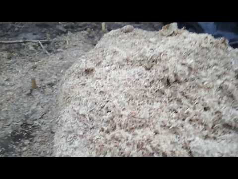 Видео: Как хранится жом в конце апреля.