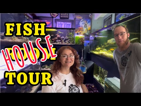 Видео: ЭПИЧНАЯ экскурсия по рыбной комнате — аквариум Скаливага #aquariumhobby #aquarium