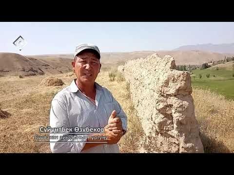 Видео: Болгон окуя, баланы өлтүрүп дубалга уруп койушкан