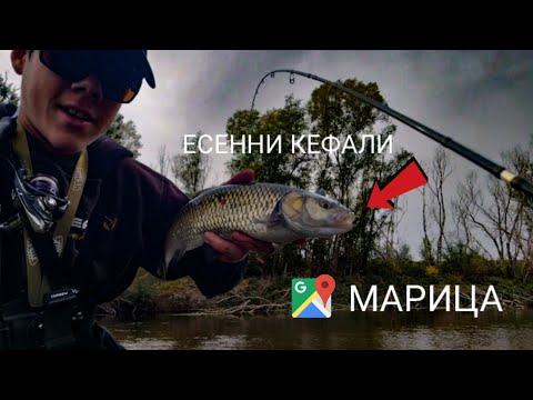 Видео: ЕСЕННИ КЕФАЛИ. РИБОЛОВ на кефал, костур и щука на р. Марица