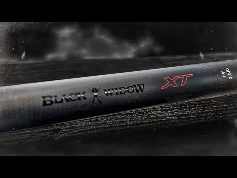 Видео: За ці гроші — ракета!?Мій перший карповик повернувся! Daiwa Black Widow XT