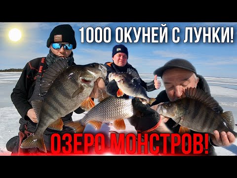 Видео: ОЗЕРО С ТРОФЕЯМИ! 1000 ОКУНЕЙ С ЛУНКИ! ДИКИЙ СЕВЕР. 2я часть.