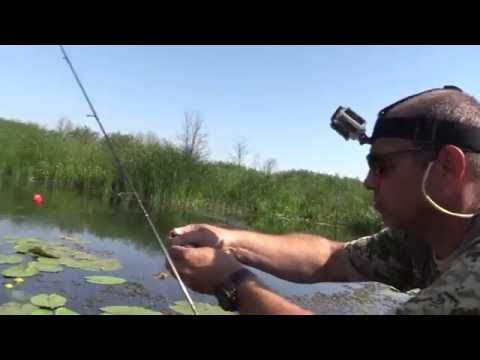 Видео: Ловля красноперки на попла-поппер. Наноджиг.