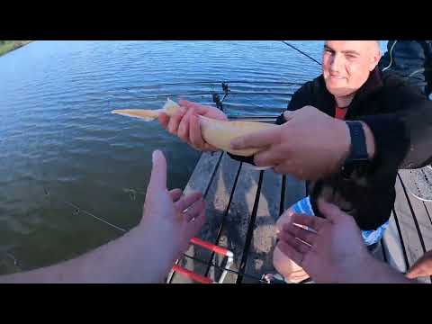 Видео: Карасі Клювали Гарні. Риболовля З Кумами