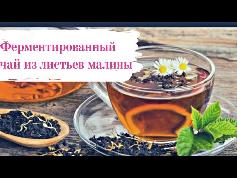 Видео: Ферментированный чай из малины. Всё этапы приготовления