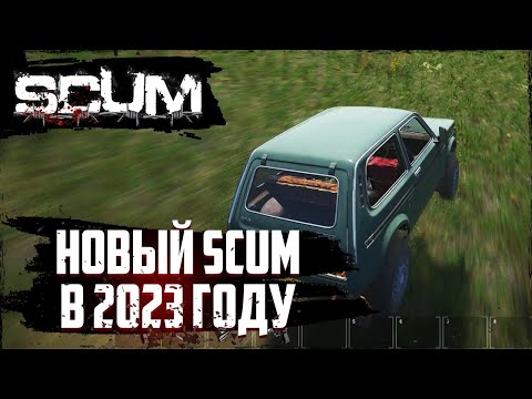 Видео: Новый СКАМ - Нива, Киллбокс и Грибы в 2023 году | Scum