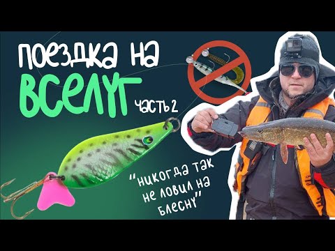 Видео: Никогда так не ловил на блесну! Рыбалка на озере Вселуг часть 2