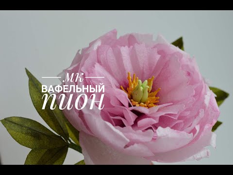 Видео: Подробный урок по сборке вафельного пиона/peony made of waffle paper