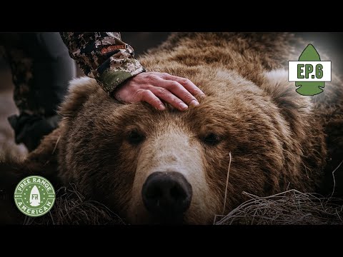 Видео: BRCC Alaska Bear Hunt, эпизод 6: 2 медведя за 2 минуты
