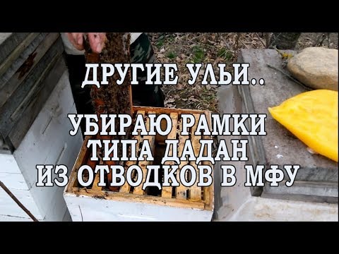 Видео: Другие ульи МФУ. После зимовки убираю рамки типа Дадан.