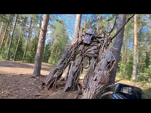 Видео: На ниве за ягодами (нашёл лагерь в лесу).