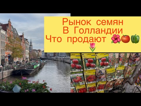 Видео: КАКИЕ СЕМЕНА 🍅🌶️🌷🍓ПРОДАЮТ НА РЫНКЕ В ГАЛЛАНДИИ 👩‍🌾 ПРОГУЛКА ПО АМСТЕРДАМУ !!!
