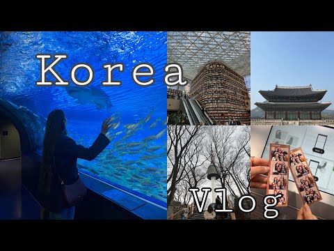 Видео: korea vlog 🇰🇷 | первый раз в Корее, уличная еда, культура и путешествие мечты