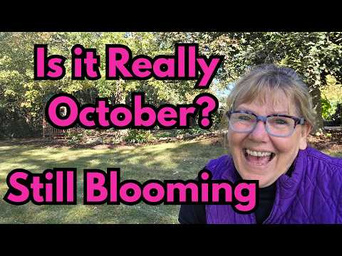 Видео: Прохождение Oct Garden/Что ещё цветёт
