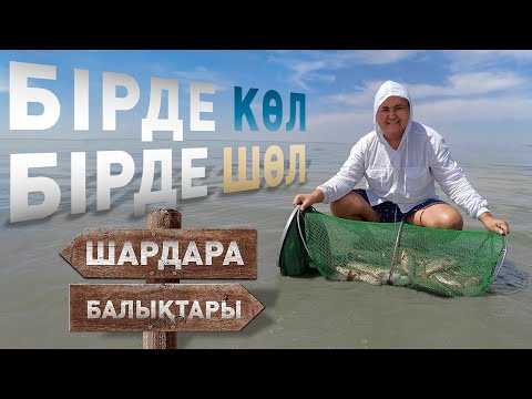 Видео: ШАРДАРА бірде көл, бірде шөл!!! ШАРДАРА КРЕПОСТЬ 25-26 АВГУСТ