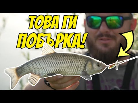 Видео: Кефали с ТАЙНА блесна въртележка! Как да ловите кефал!