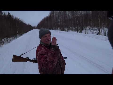 Видео: Охота с Русской гончей на зайца  9 02 23