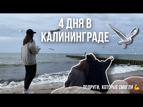 Видео: Vlog: Летим с подругой в Калининград