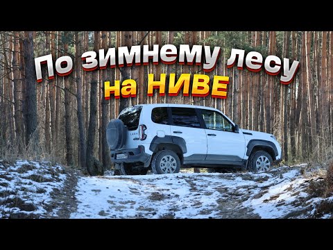 Видео: По зимнему лесу на Ниве