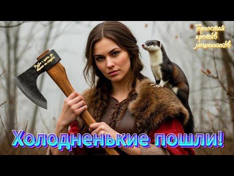 Видео: Горностай против мошенников. Снова в бой! Снова холодненькие пошли!