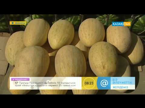 Видео: Жазда жиі тұтынатын көкөністер мен жемістер