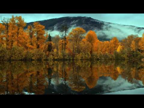 Видео: АКО МОЖЕХ ДА ВИДЯ (I can only imagine)