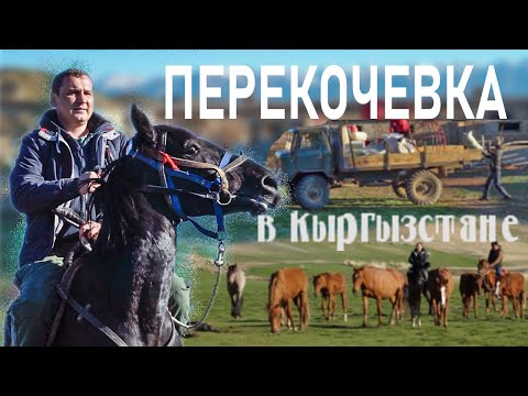 Видео: КАК КЫРГЫЗЫ КОЧУЮТ. гоним табун на жайлоо