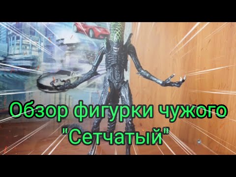 Видео: Обзор фигурки чужого "Сетчатый"