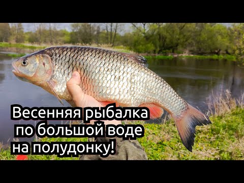 Видео: Весенняя рыбалка на реке по большой воде на полудонку. Обзор катушки GRFISH Ice Power Magnet 501!