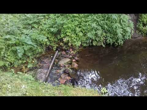 Видео: Где начинается Свислочь (река)