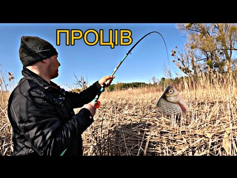 Видео: Карась з човна на БОКОВИЙ кивок. Проців дамба