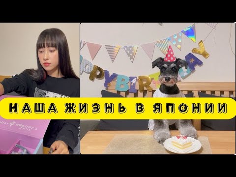 Видео: Что произошло, здоровье мужа. Трансформация лофта как я и планировала.#япония #japan