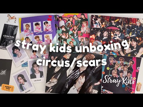 Видео: ‧₊🎪˚ ждала заказ почти год ˚ * распаковка японских альбомов stray kids - circus и scars ‧₊