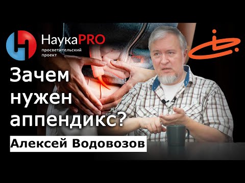 Видео: Зачем нужен аппендикс? – Алексей Водовозов | Лекции по медицине | Научпоп